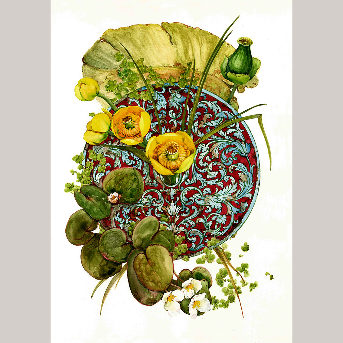 Открытка Кубышки