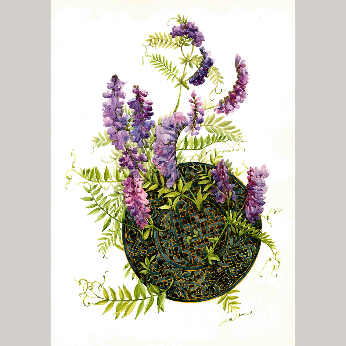 Открытка Мышиный горошек