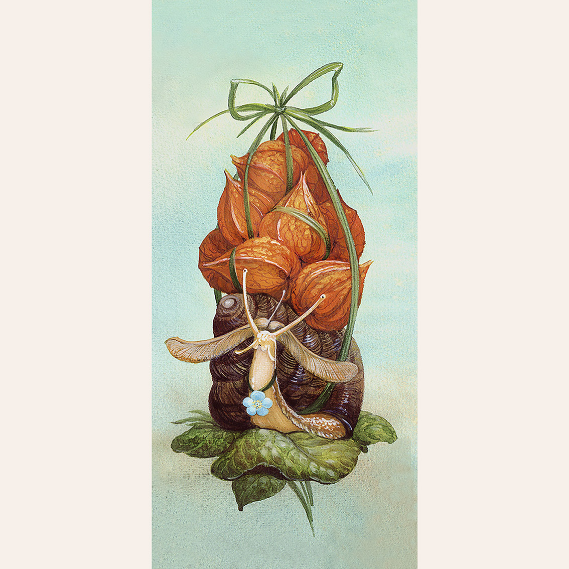 Открытка Улитка с физалисом