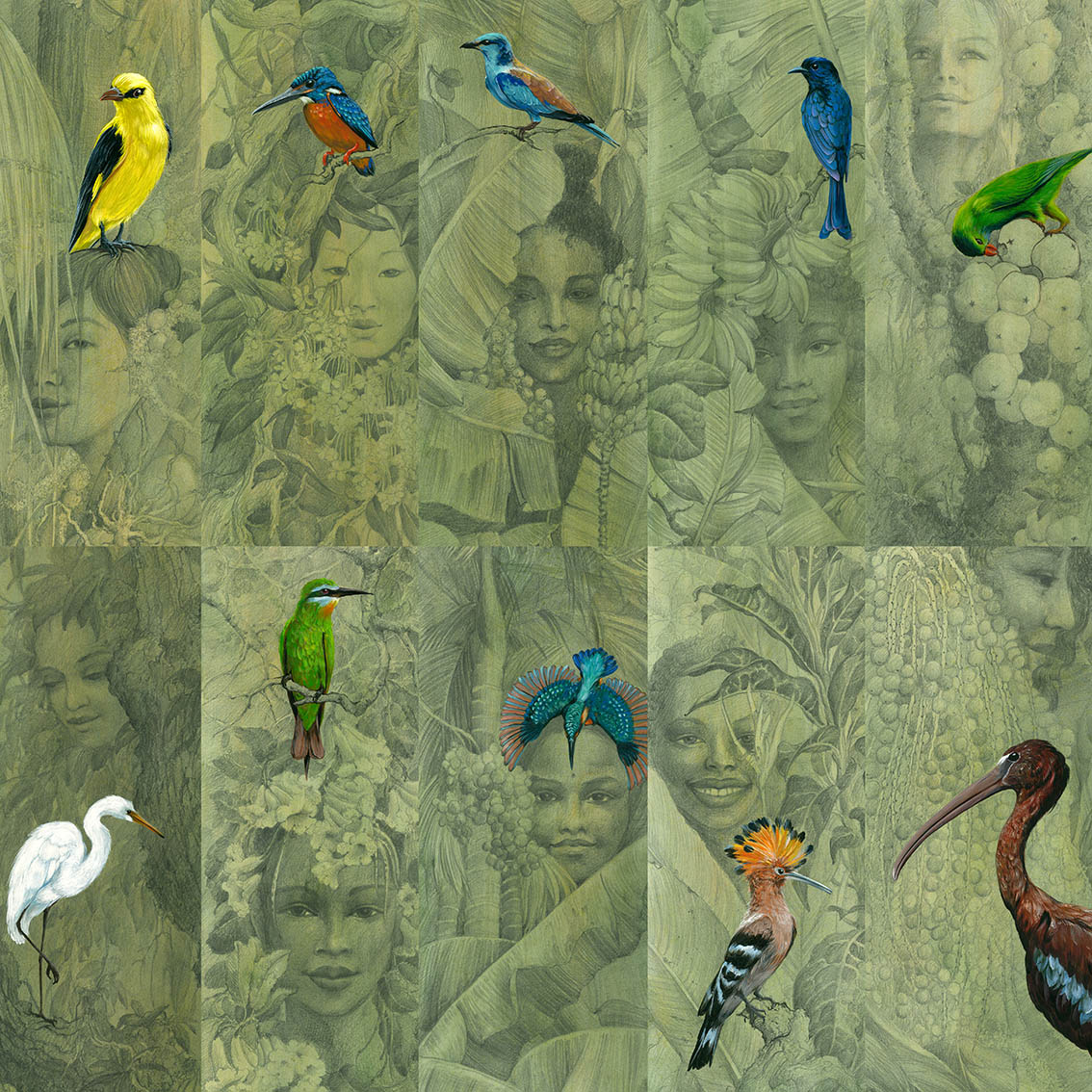 Серия открыток Птицы