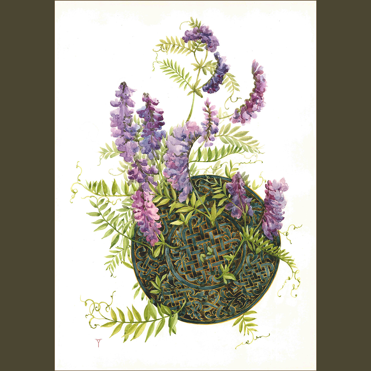 Мышиный горошек