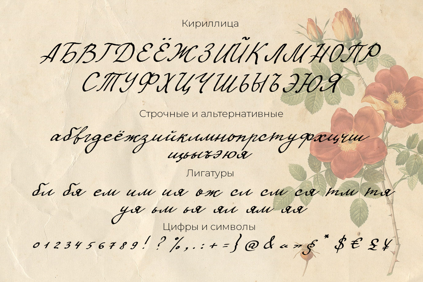 Винтажный скрипт шрифт ретро декоративный кириллица русские шрифты
