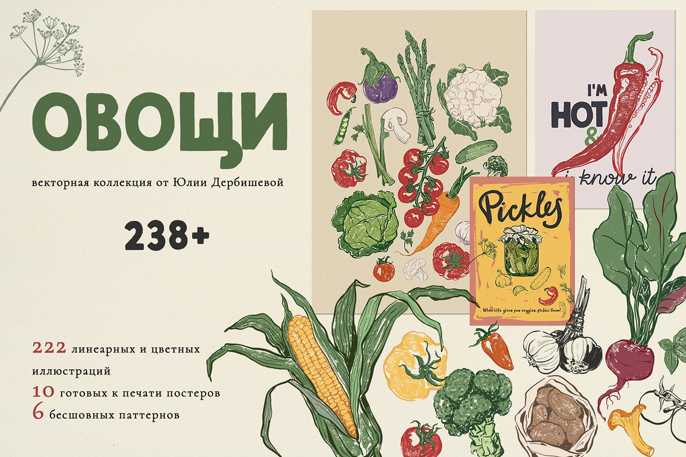 Овощи векторные иллюстрации, паттерны и постеры