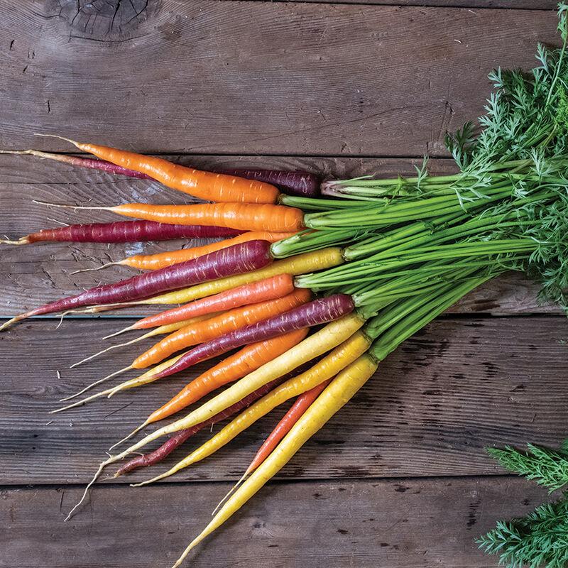 Carrot Glow Stix Moonrise Mix