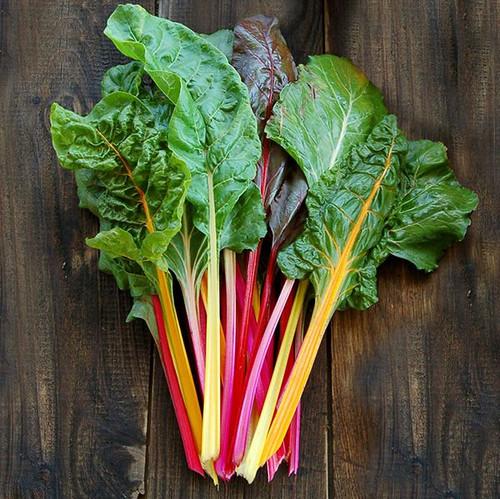 Swiss Chard Bright Lights