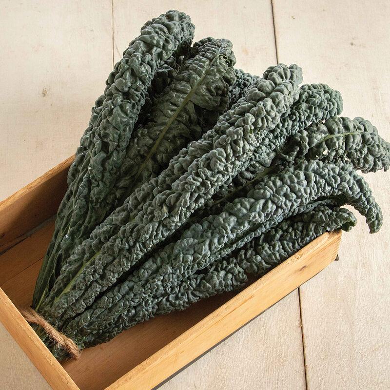 Kale Black Magic