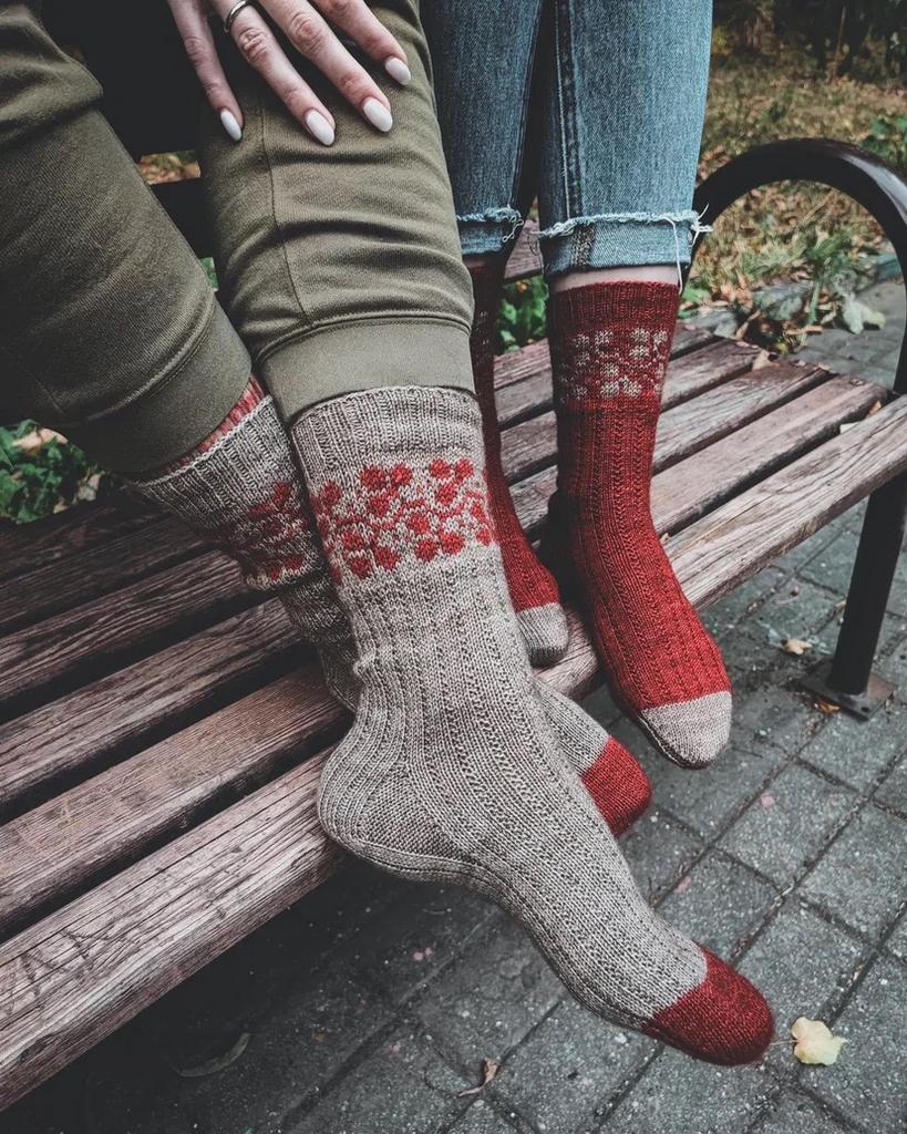 носки Авиньон