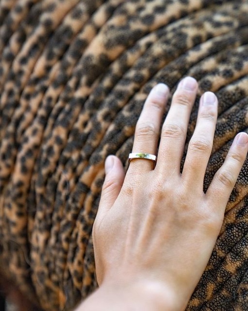 Кольцо каустика