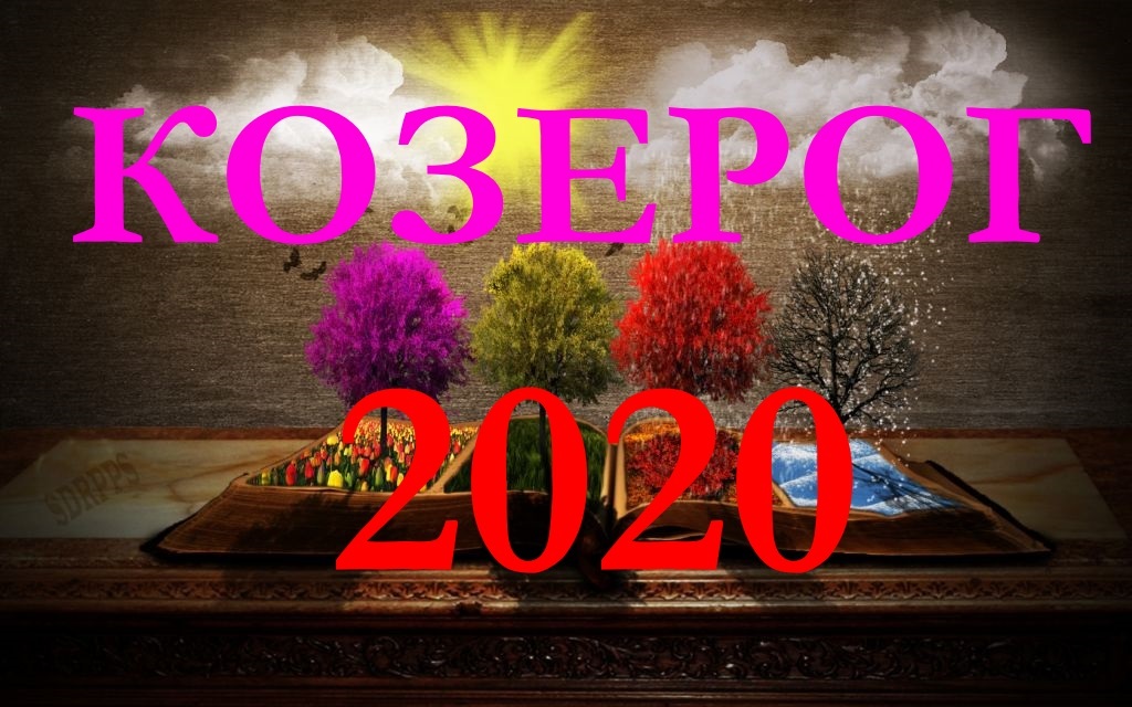 КОЗЕРОГ. ПРОГНОЗ НА 2020 ГОД.