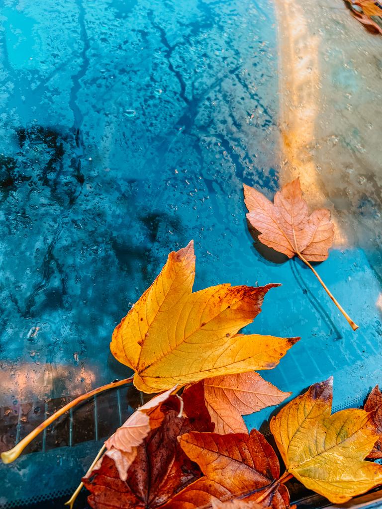 Пресеты для видео