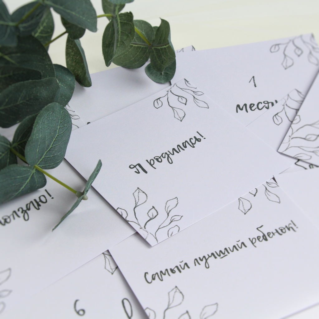 Карточки для фото "Nature"