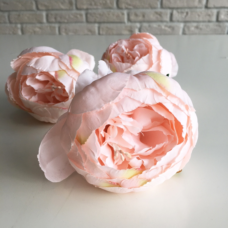 Роза пионовидная