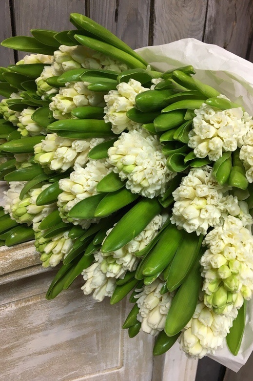 Белые гиацинты