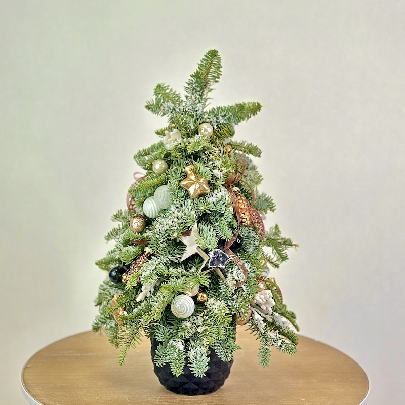 Новогодняя елочка из живой пихты Нобилис со светодиодной гирляндой "Новогодняя звезда"