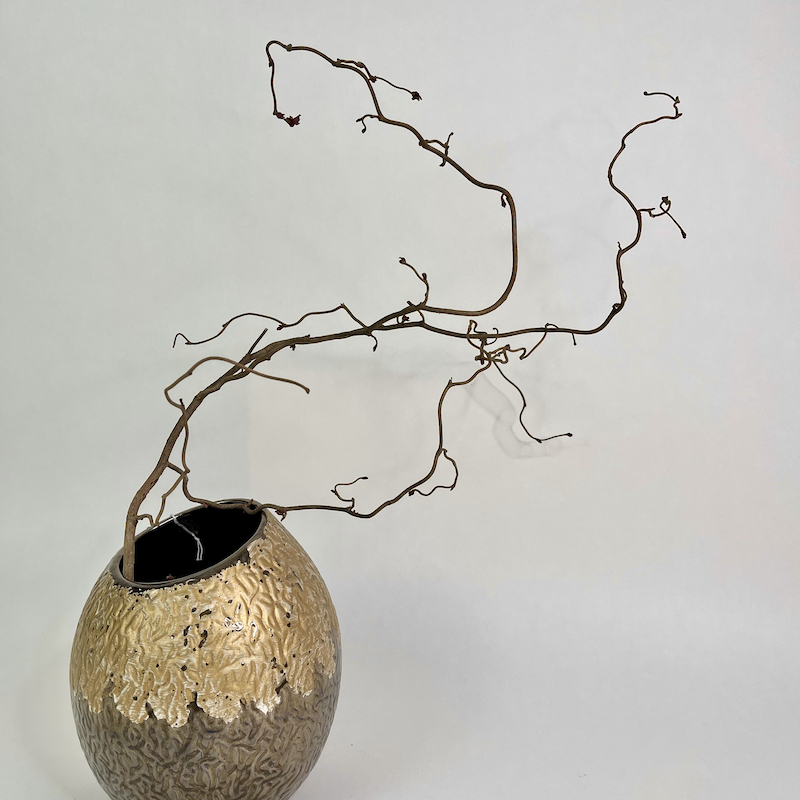 Корилус (интерьерные сухие ветки)