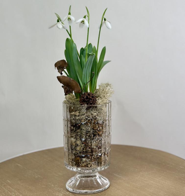 Подснежники в стеклянной вазе на ножке-луковичое растение