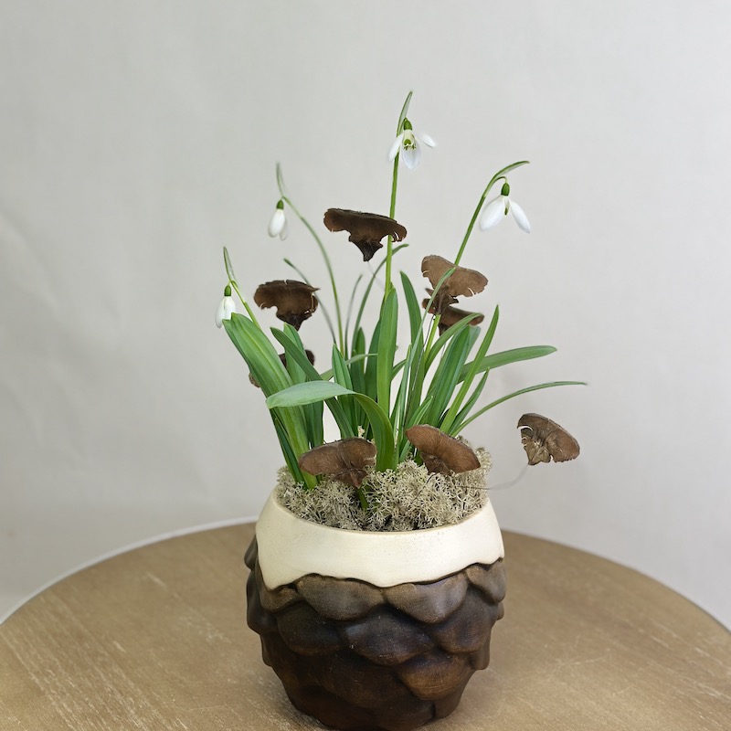 Подснежники в вазе шишка-луковичное растение