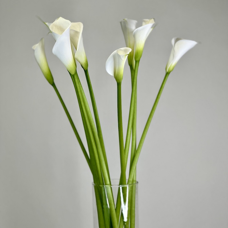 Монобукет "Калла белая Аваланш"