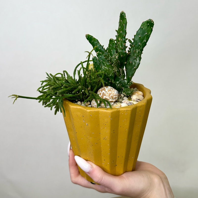 Флорариум "Марокко"