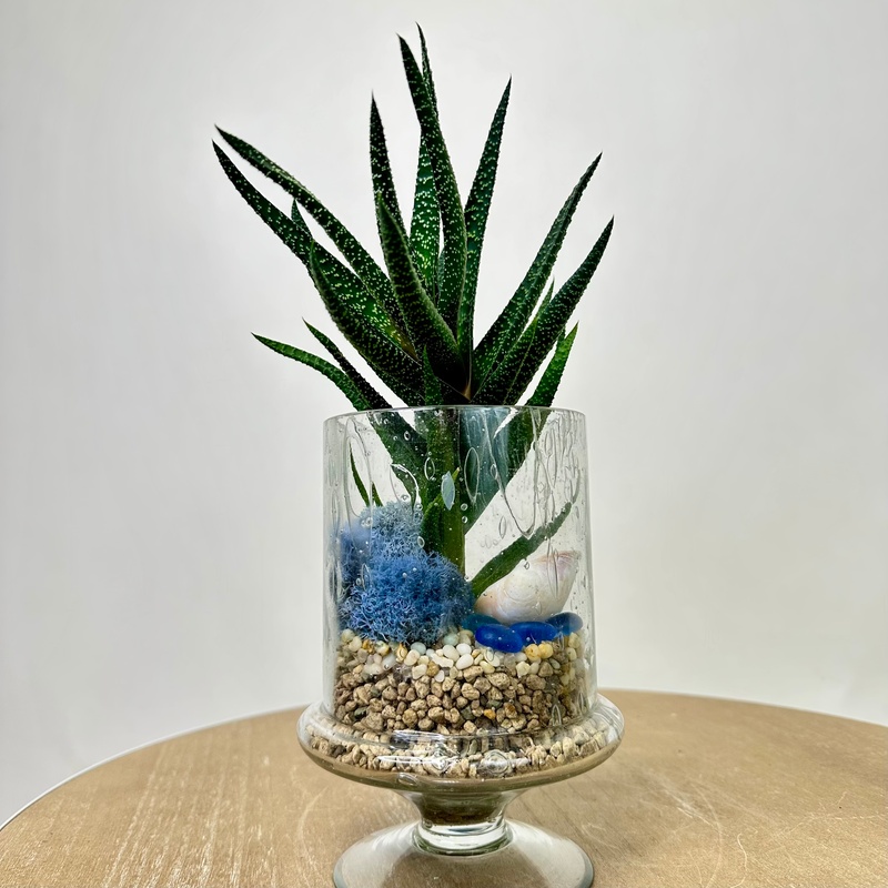 Флорариум "Глубина"