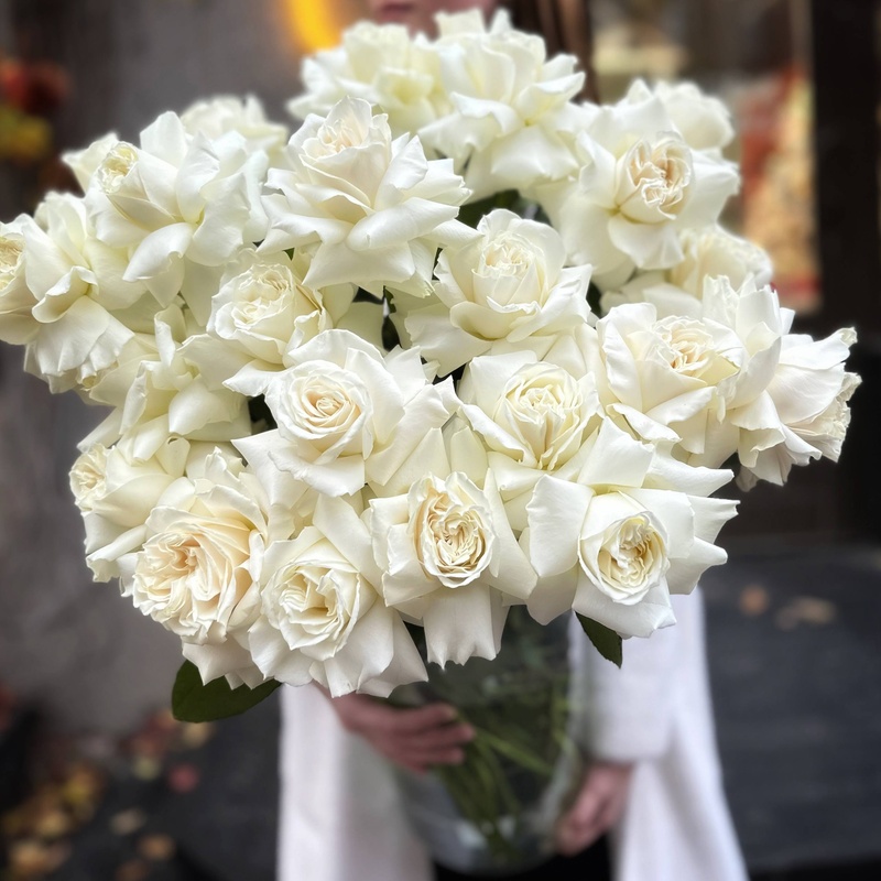 Монобукет "Французская Роза Плайа Бланка"