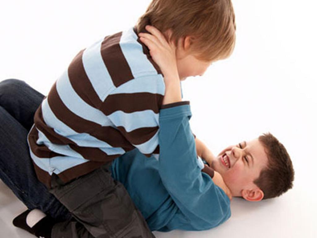 Дети снова дерутся.