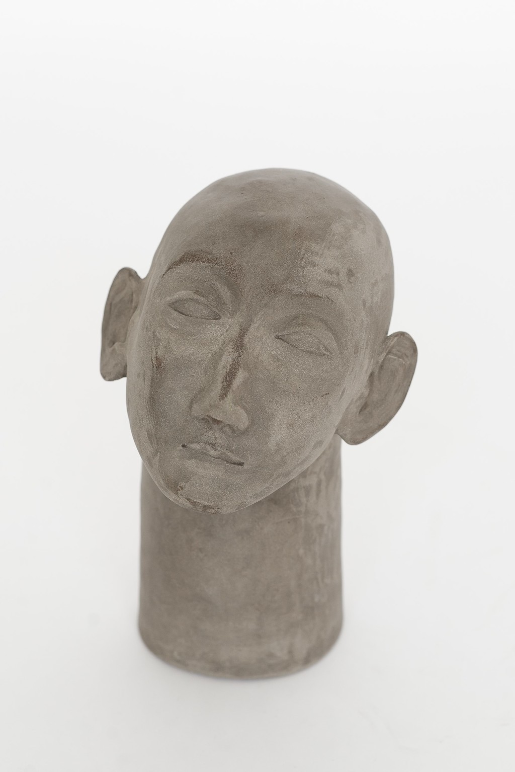 Голова на длинной шее СОЗЕРЦАНИЕ 01