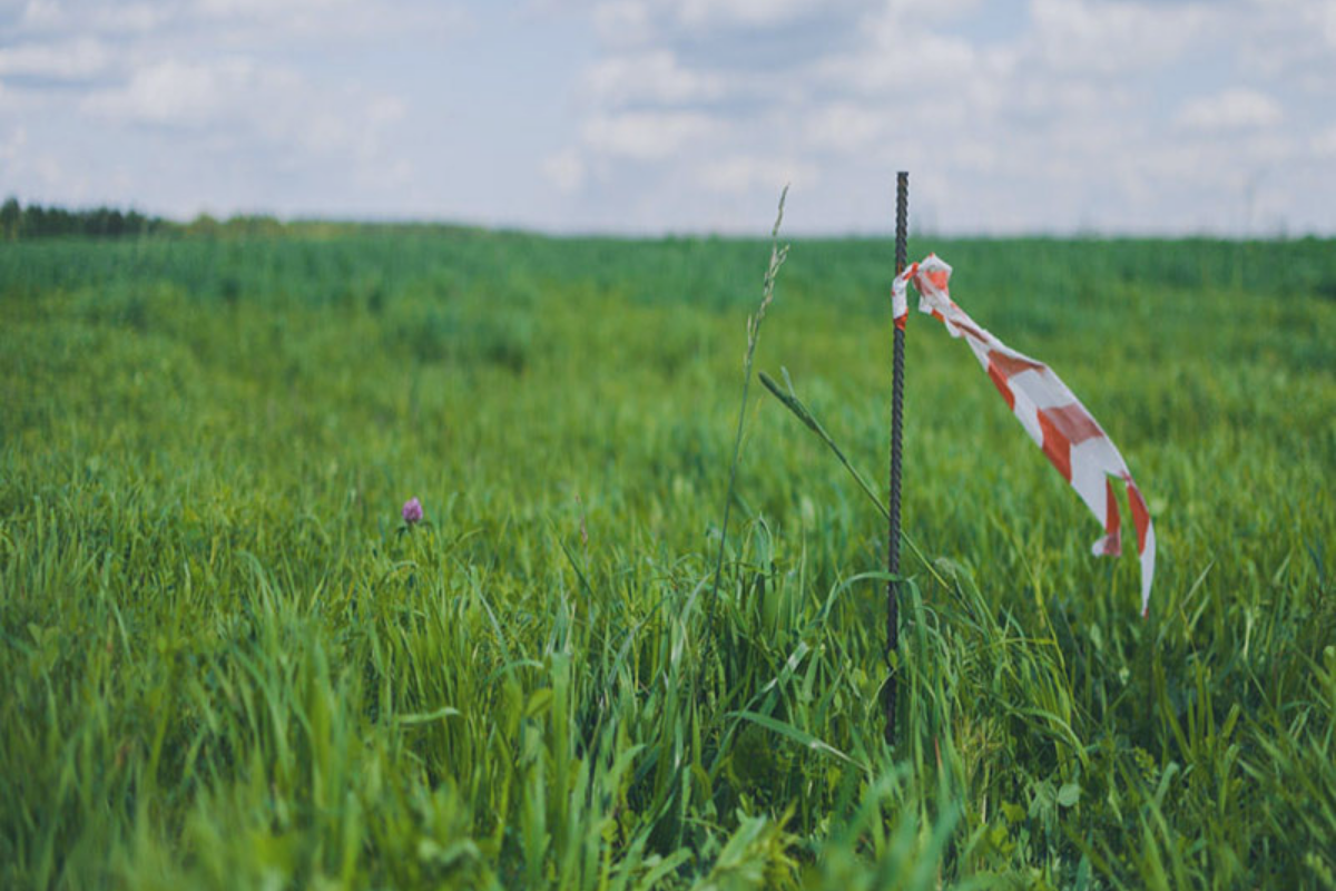 Вынос в натуру точек, границы земельного участка