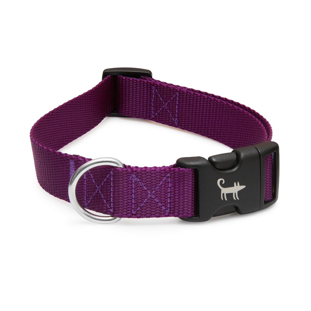 Ошейник для собаки ФИОЛЕТОВЫЙ