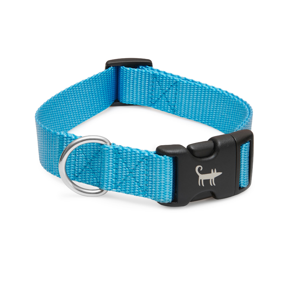 Ошейник для собаки ГОЛУБОЙ