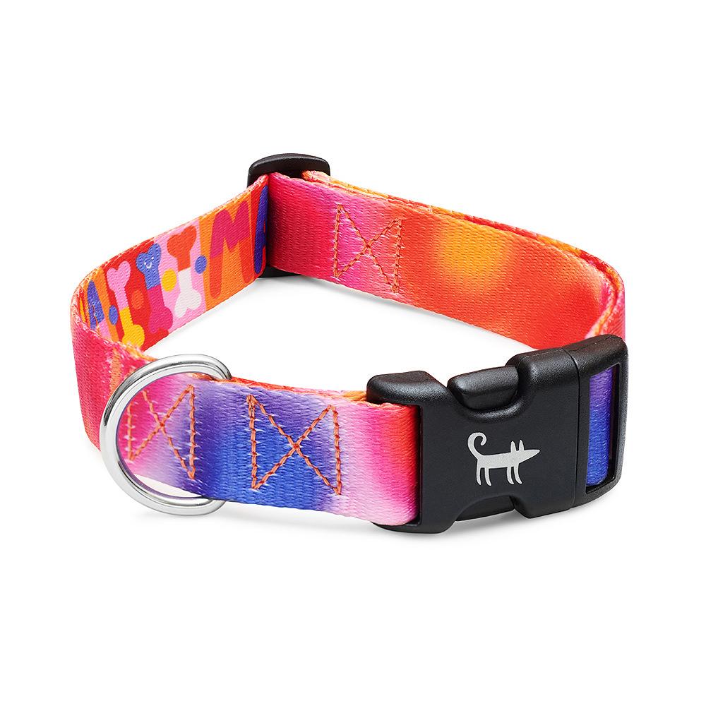 Ошейник для собаки АКУНА МАТАТА (граффити)