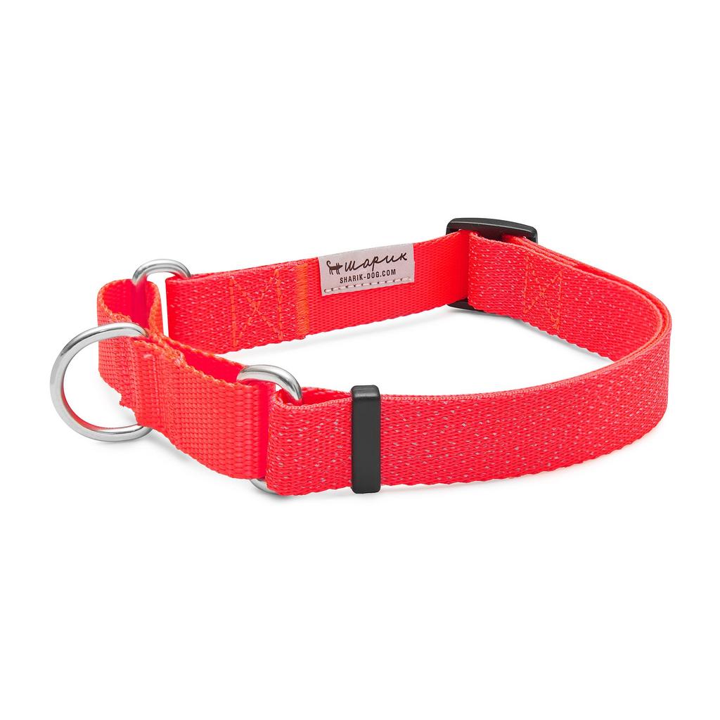 Мартингейл GOOD TO SEE YOU Blaze (светоотражающий)