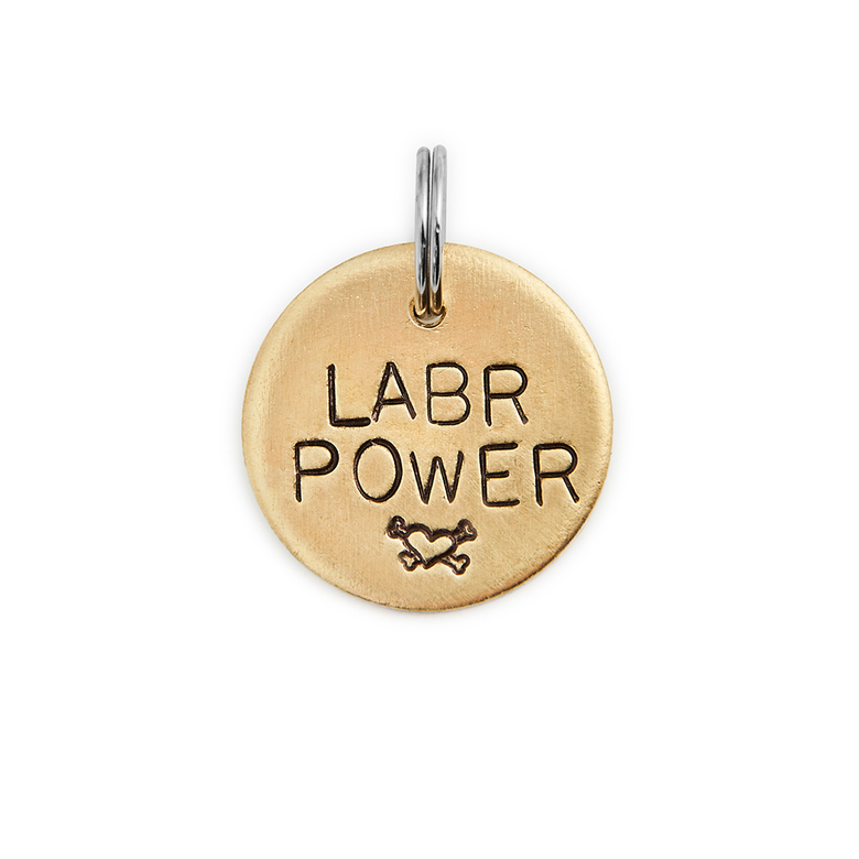 Адресник ЛАБРАДОР (латунь/мельхиор, 25/32 мм)