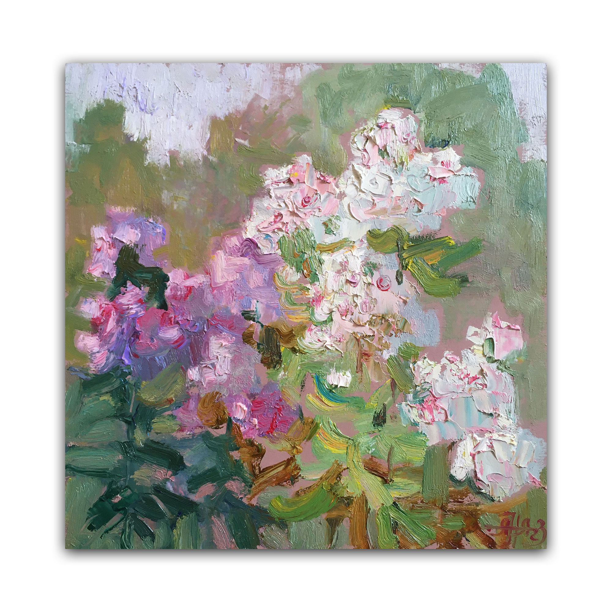 Картина "Флоксы"