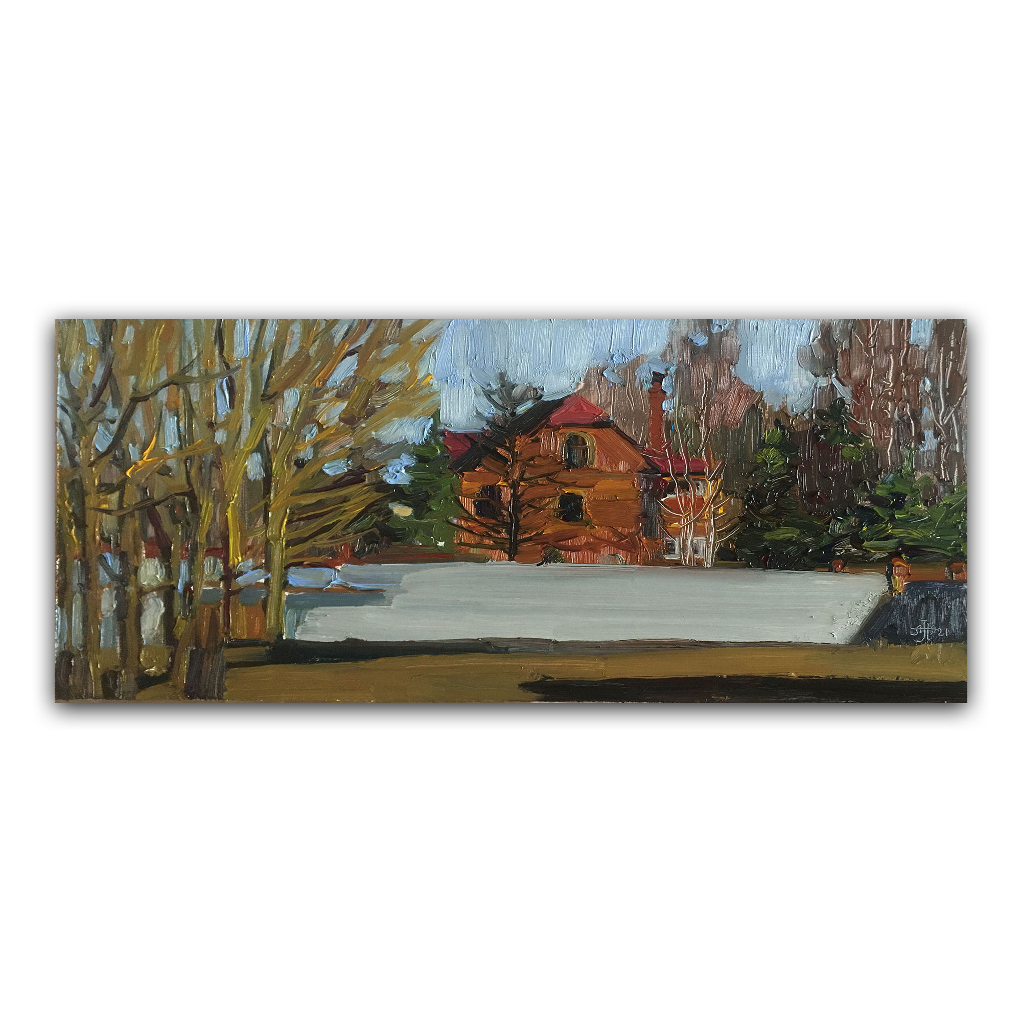 Картина "Дом Царька"