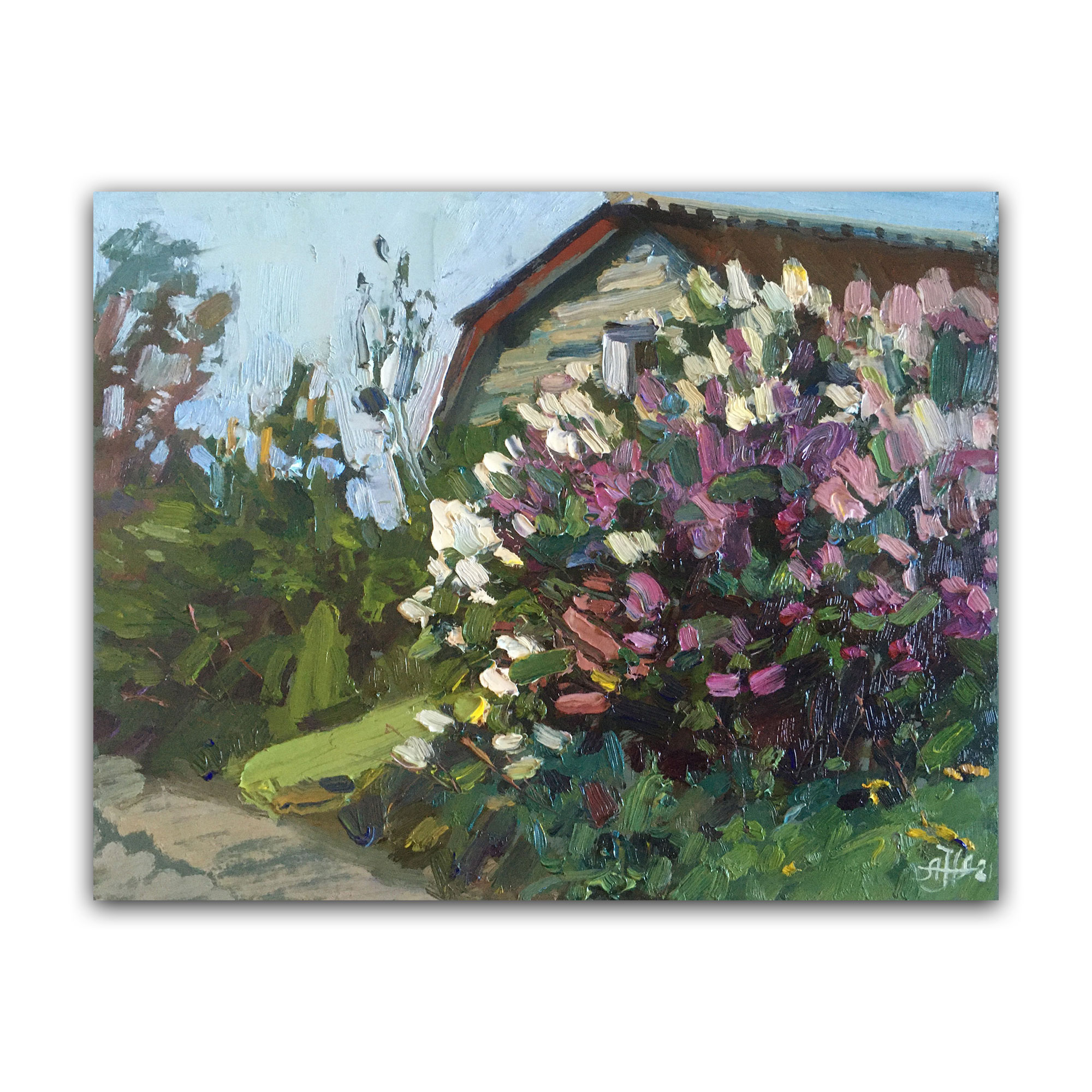 Картина "Сирень цветёт"