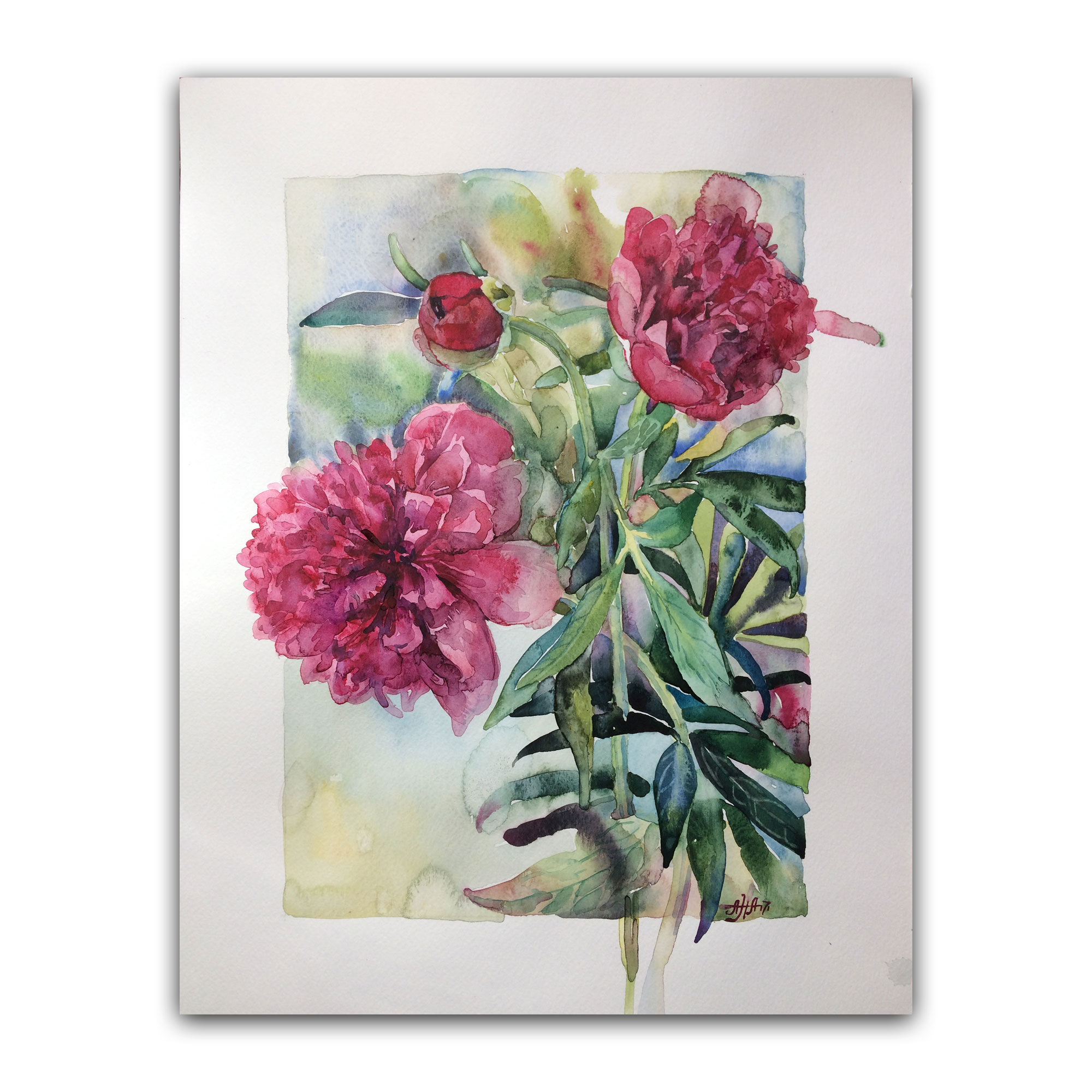 Картина "Пионы красные"