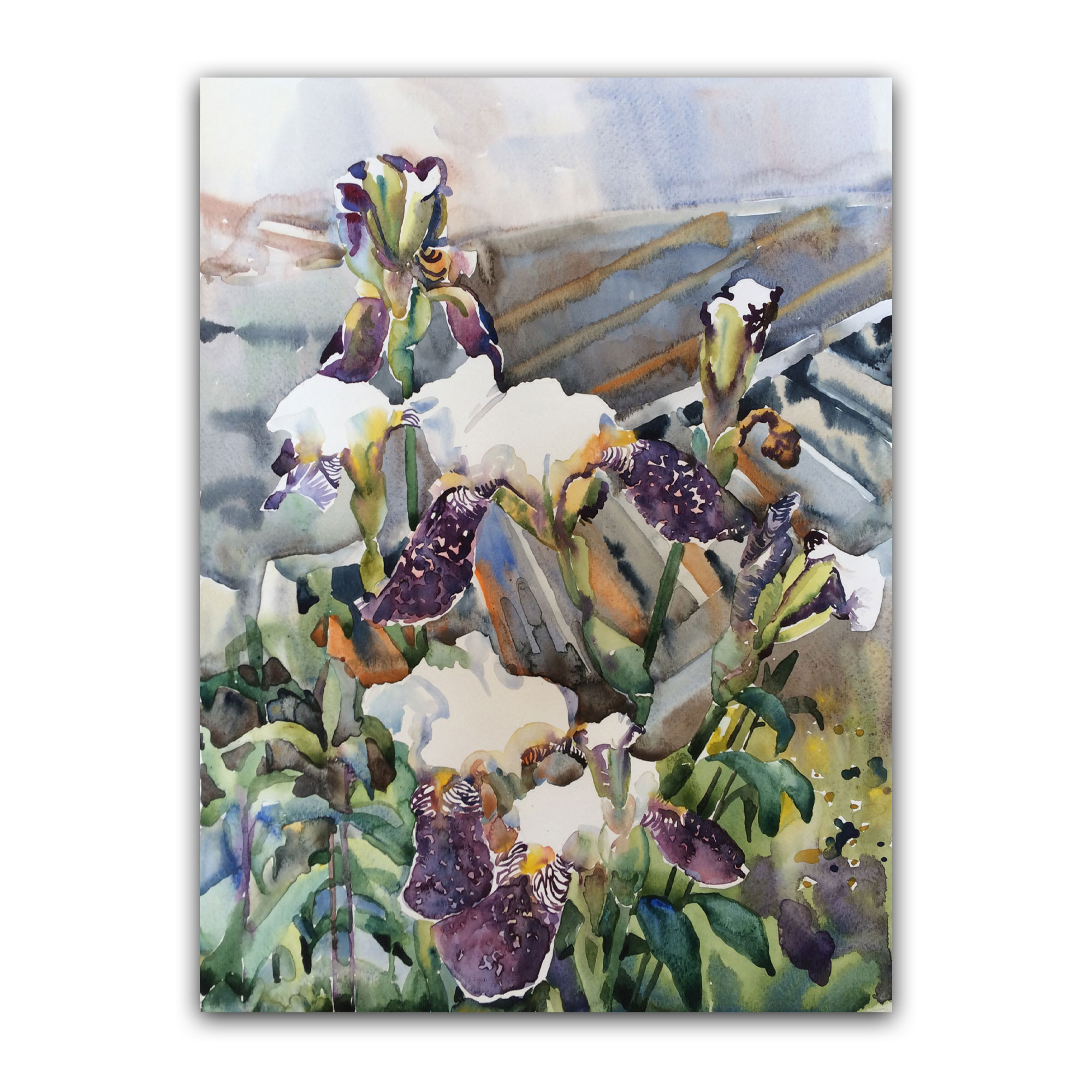 Картина "Ирисы после дождя"