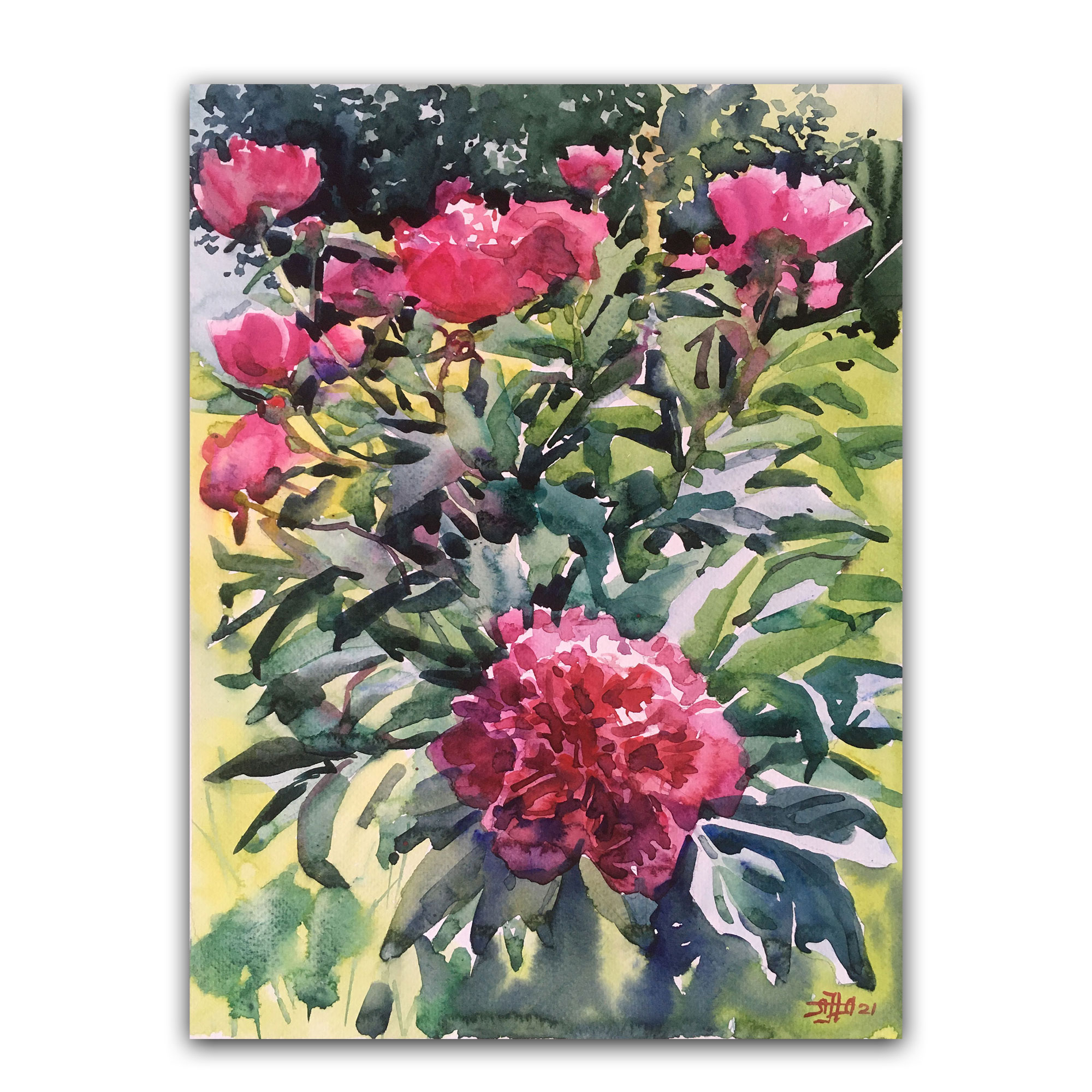 Картина "Куст пионов"
