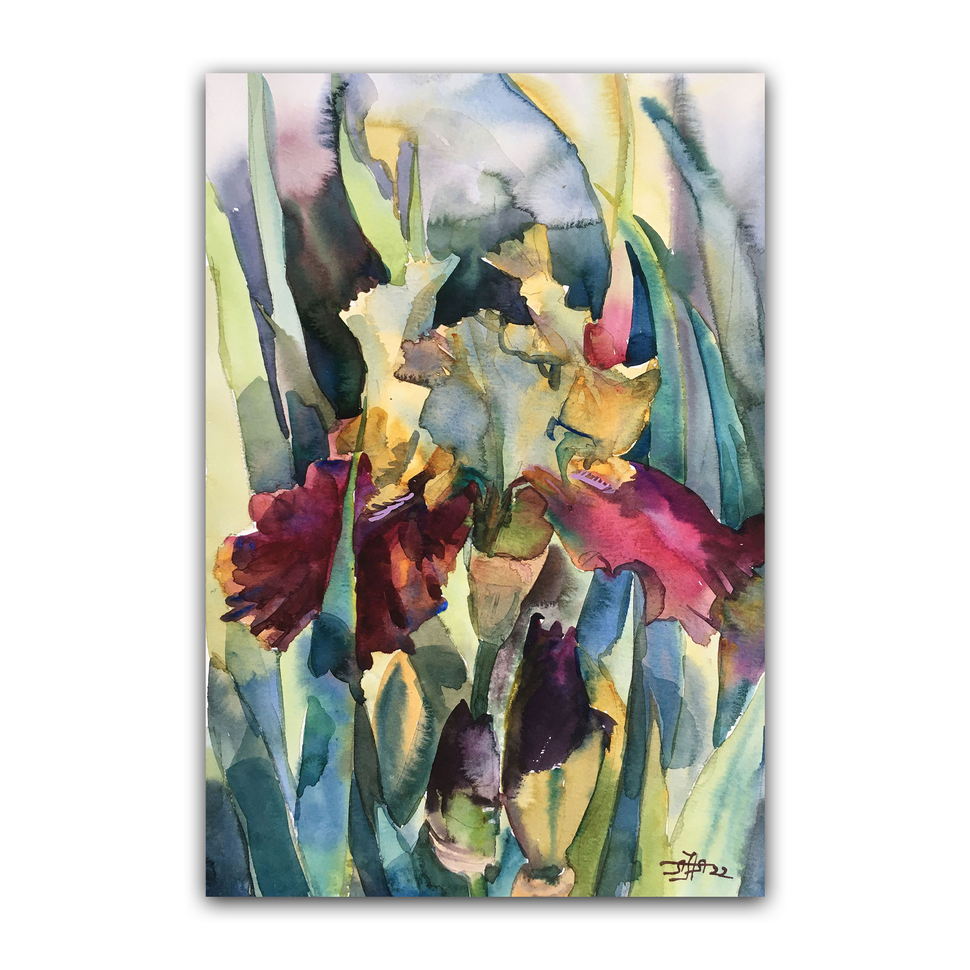 Картина "Ирисы райская птичка"