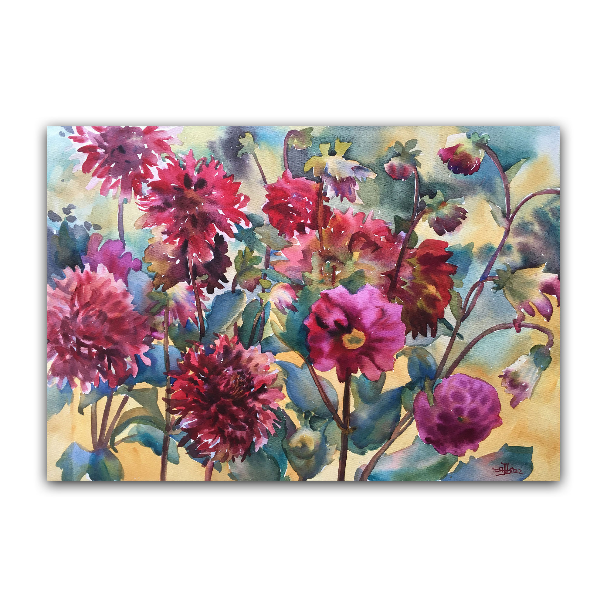 Картина "Георгины. Любимчик"