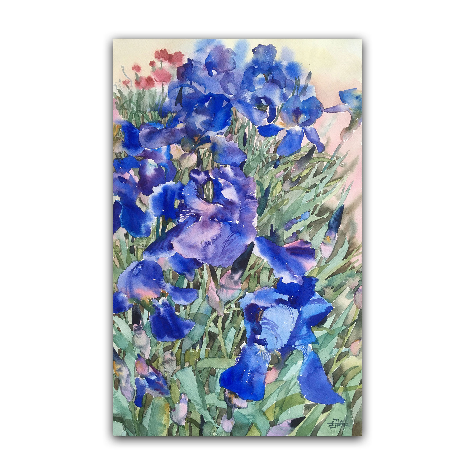 Картина "Голубые ирисы"