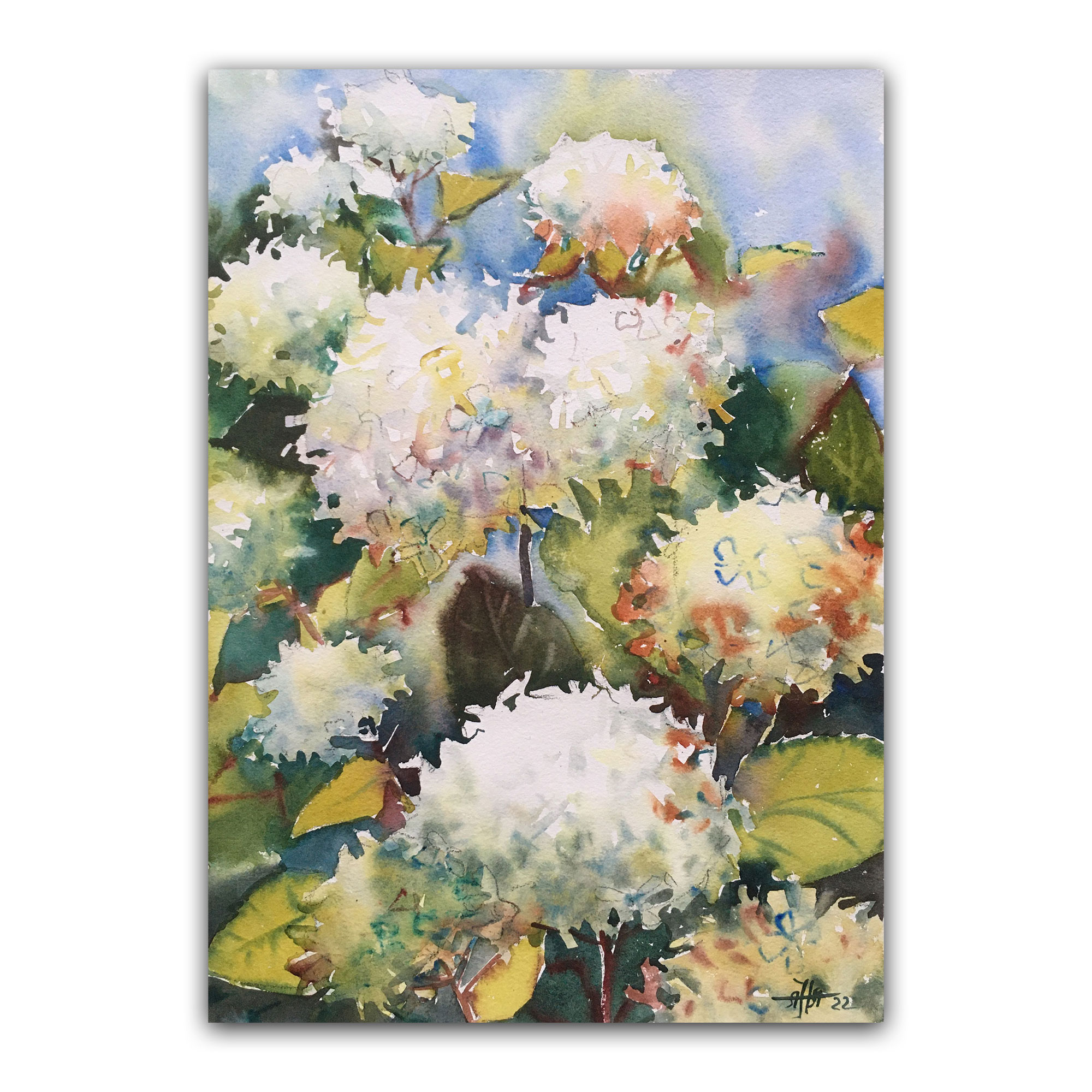 Картина "Гортензия в саду малая"