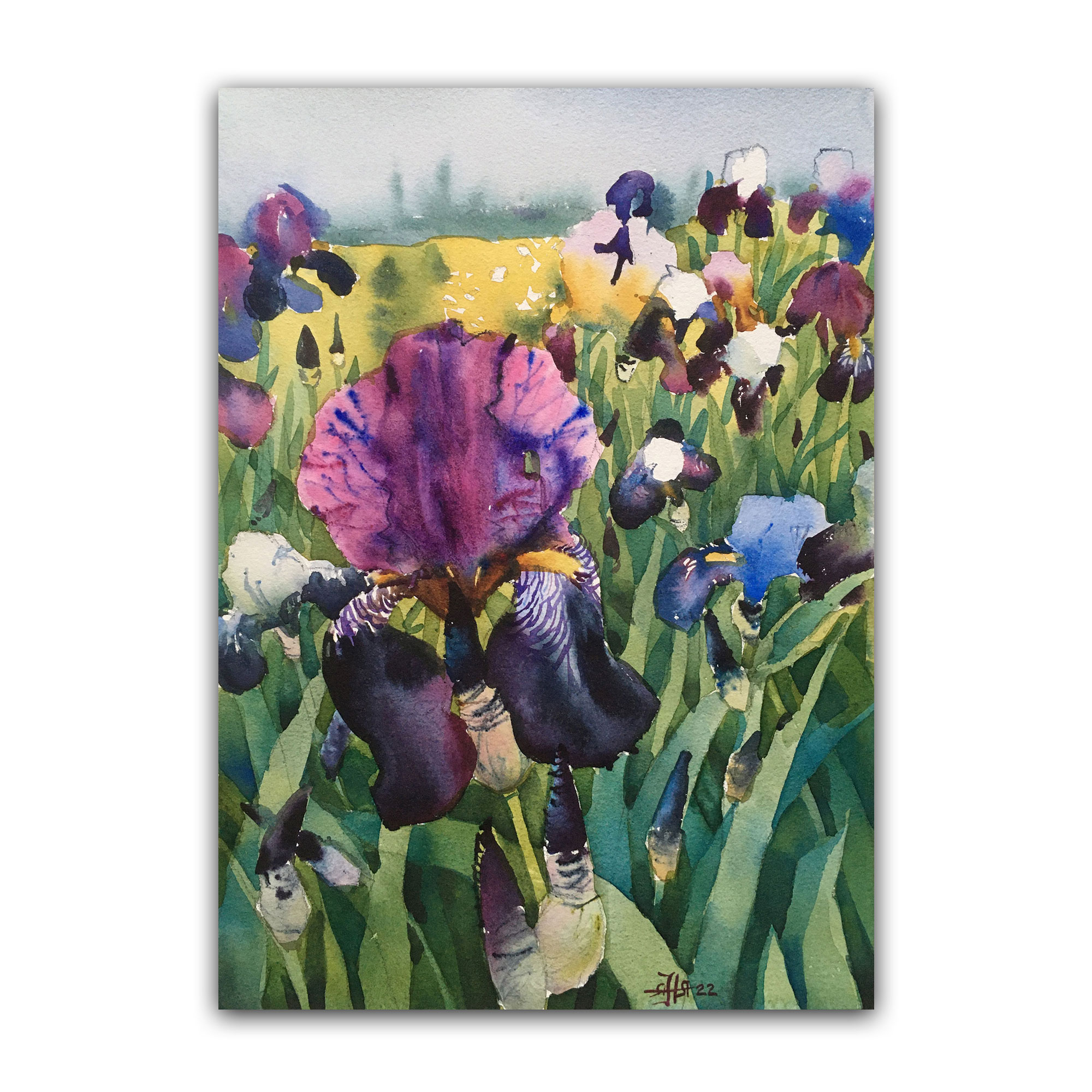 Картина "Ирисы в саду"