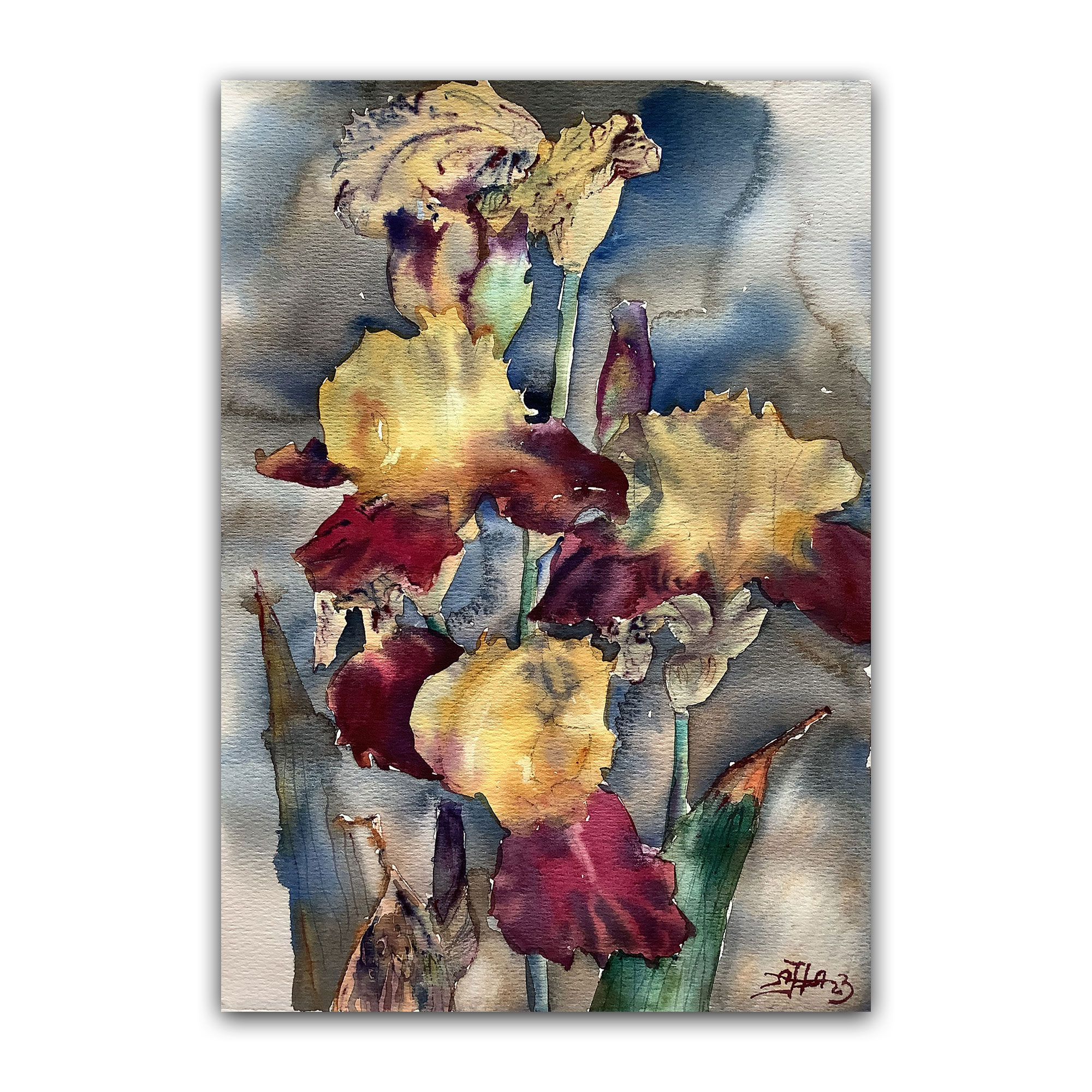 Картина "Ирисы жёлто-красные 2"