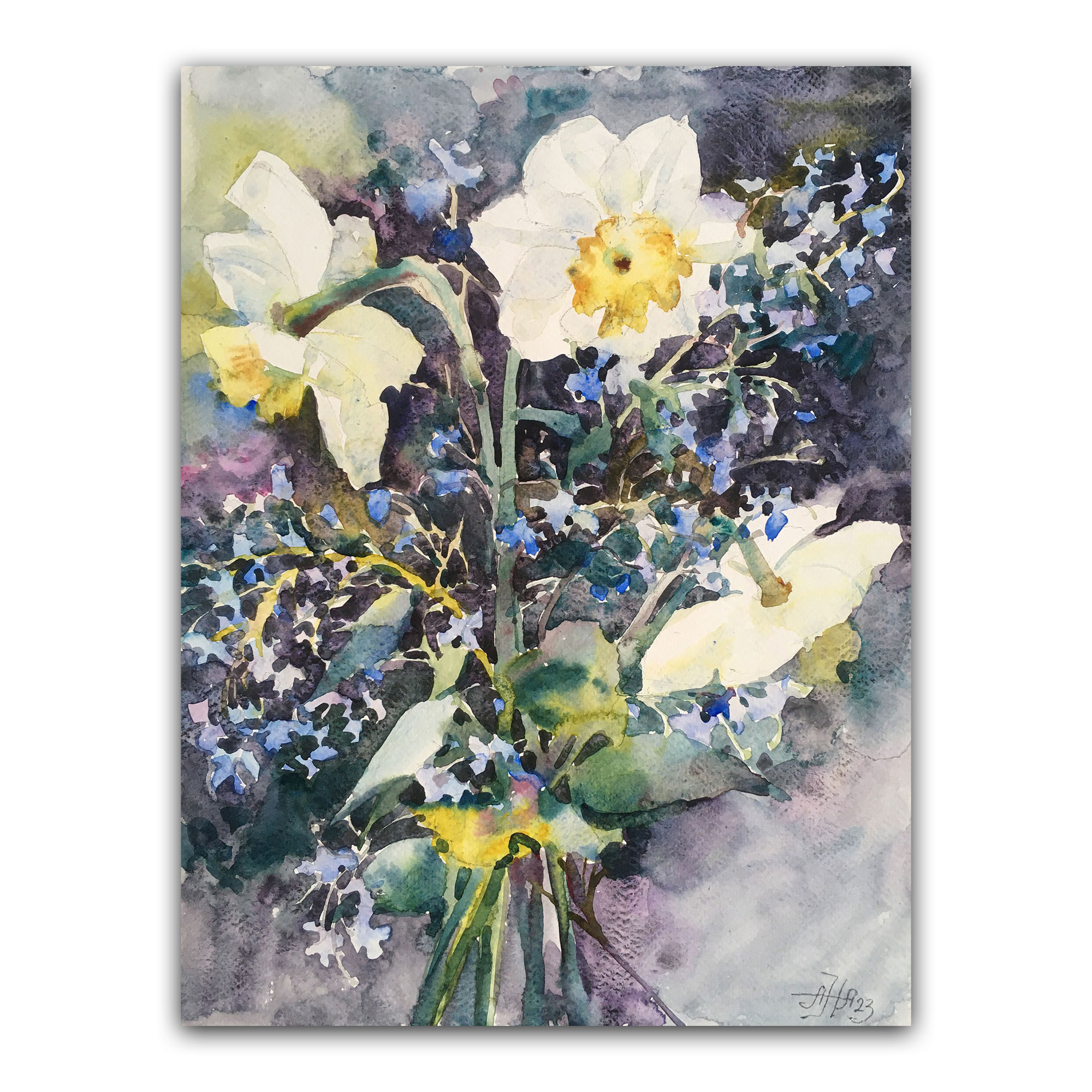 Картина "Нарциссы и брунвилья"