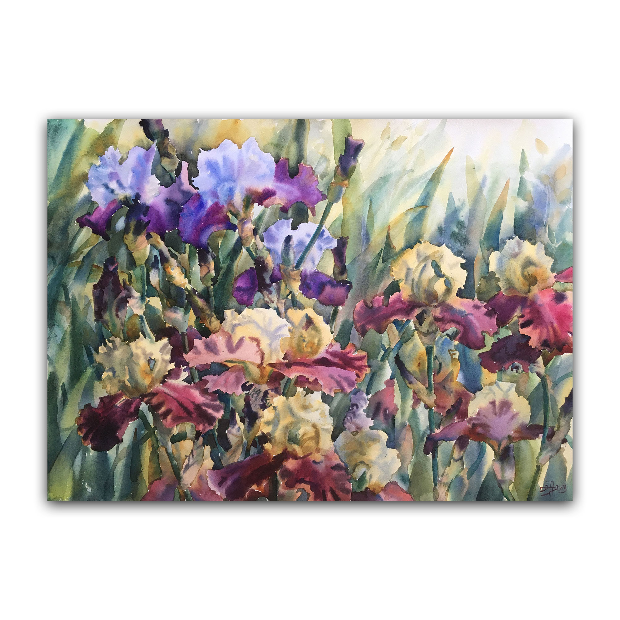 Картина "Море ирисов"