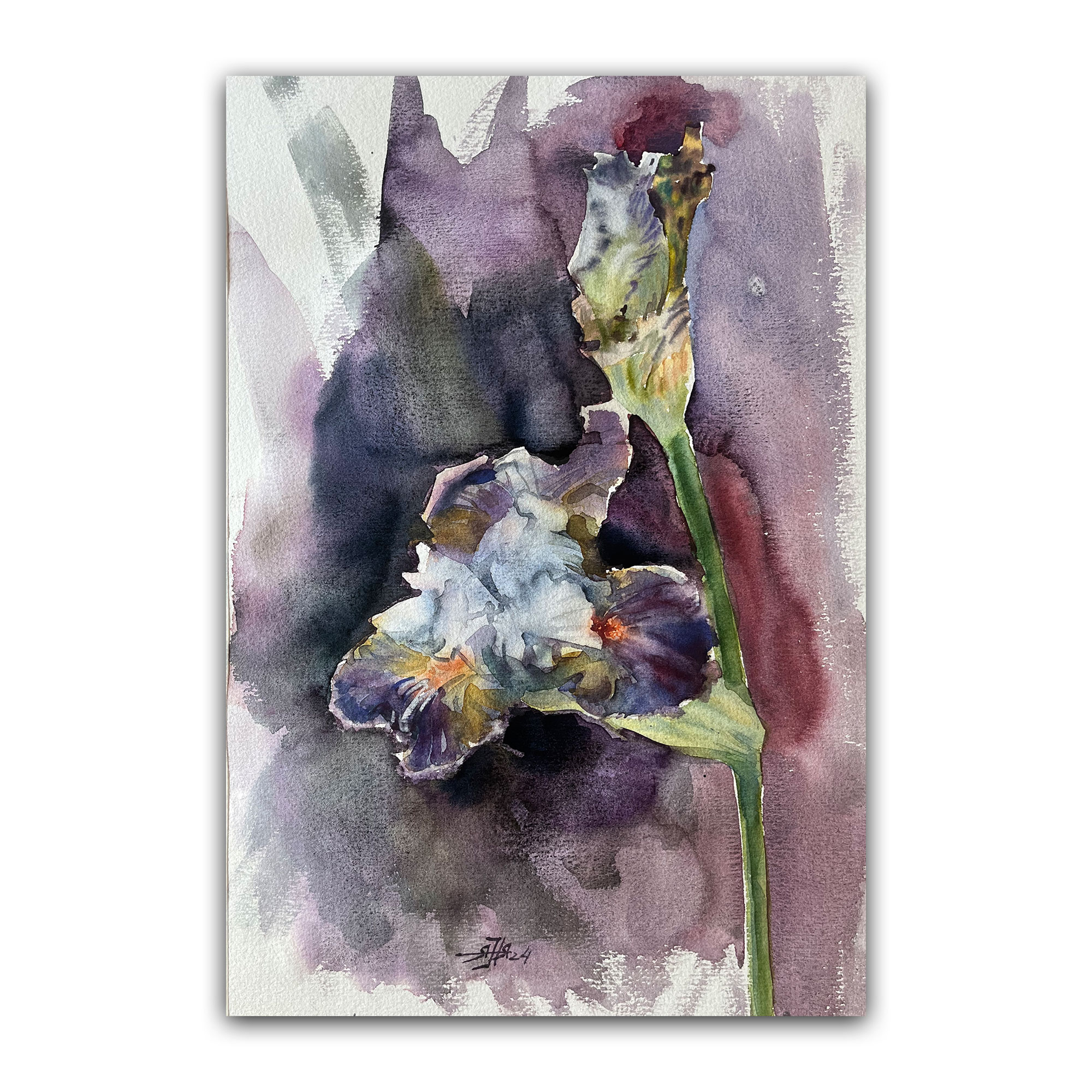 Картина "Перламутровый ирис"