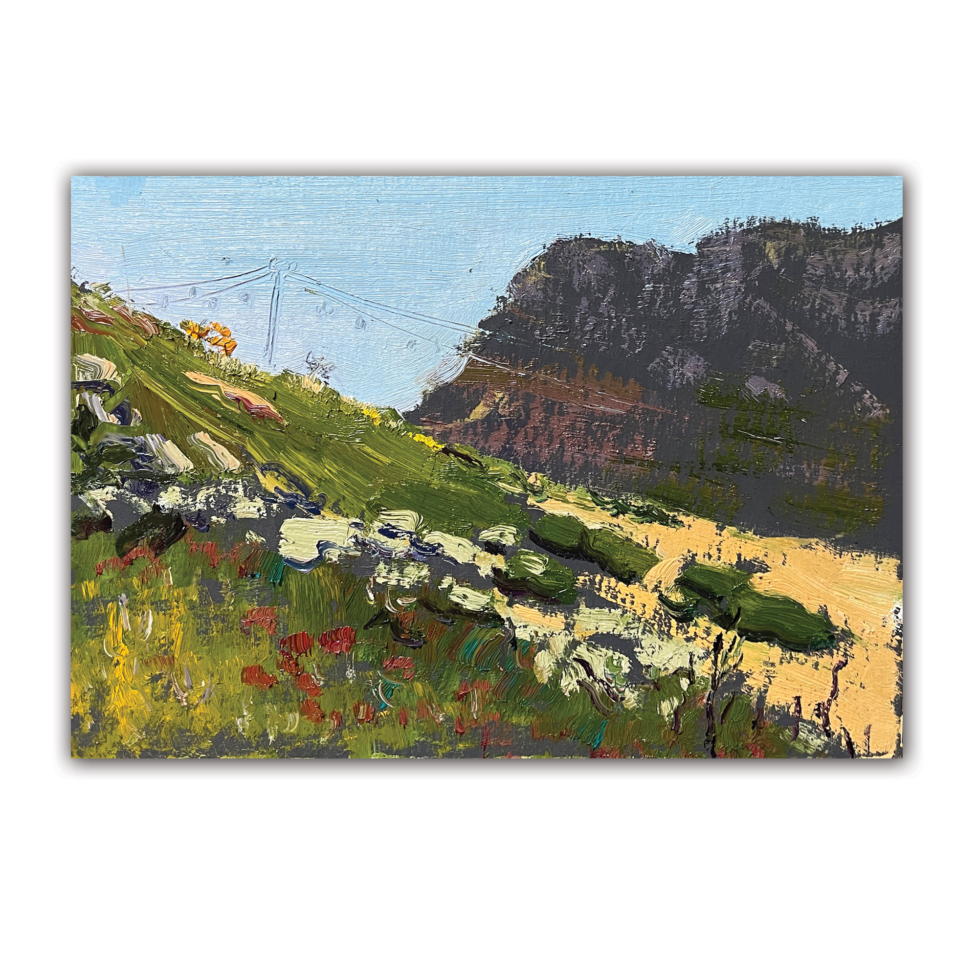 Картина "Канатка"