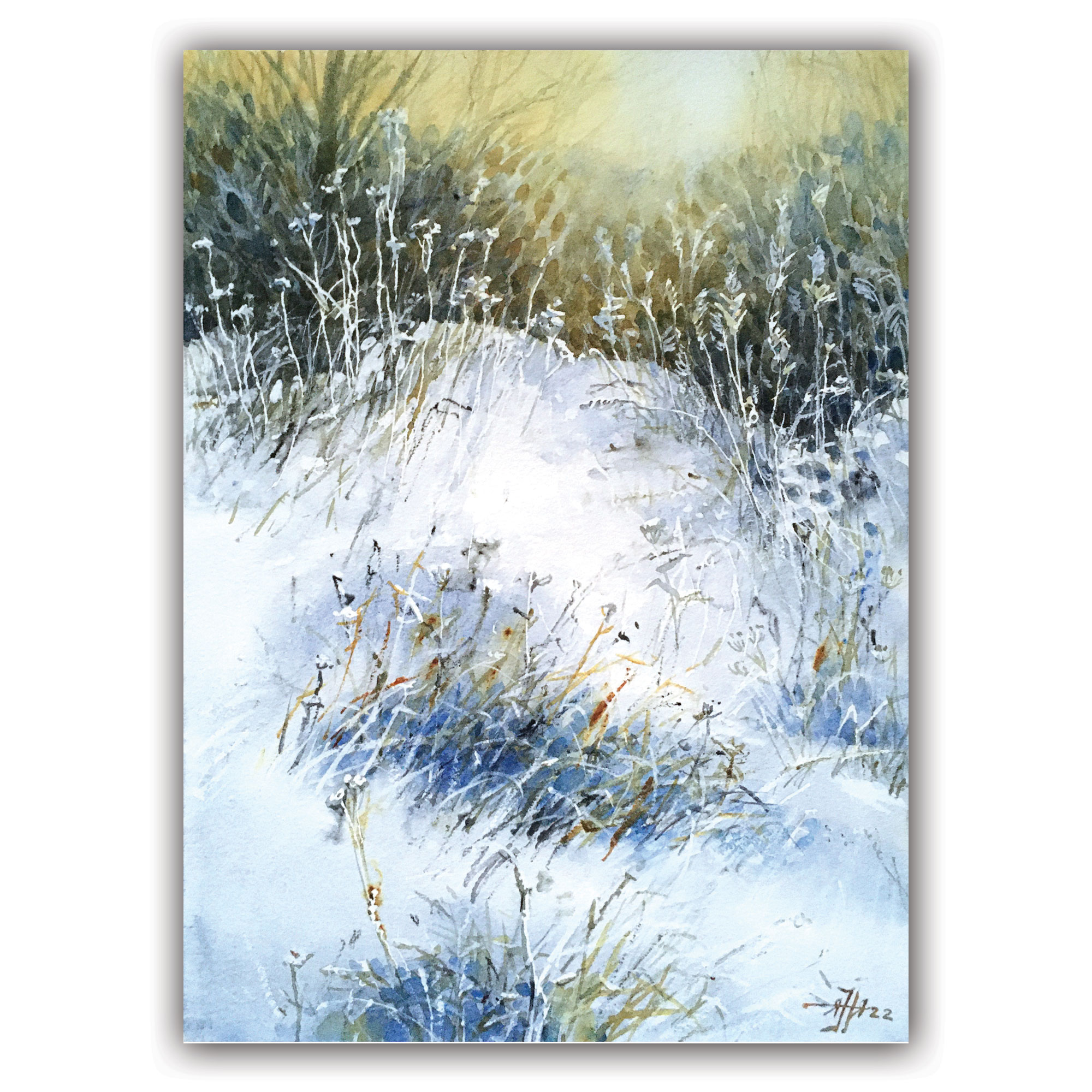 Открытка "Травы"